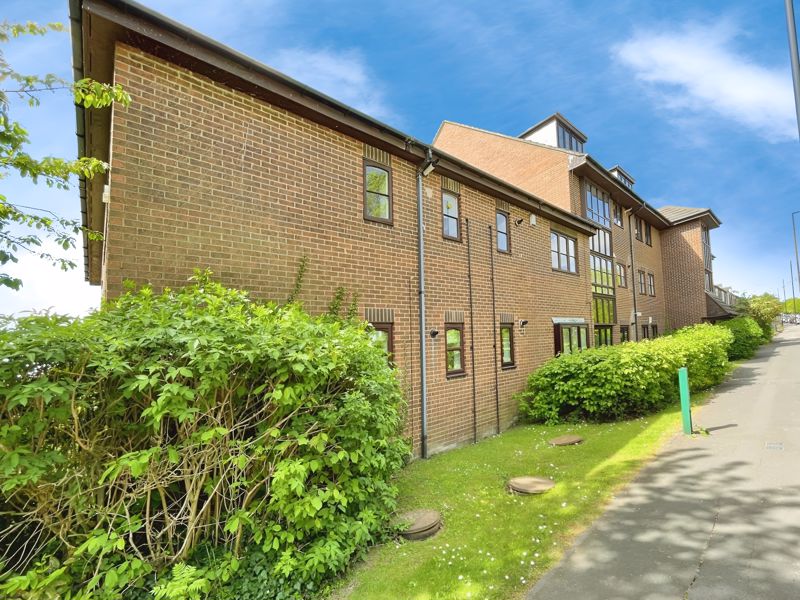 Main Image